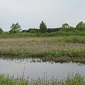 IMG_0891