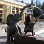 IMG_1766