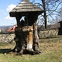 IMG_1798