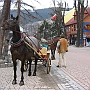 IMG_1875