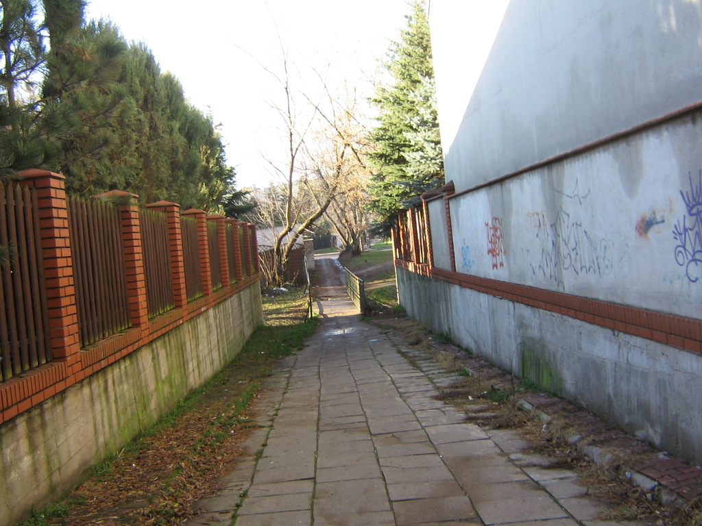 [Rozmiar: 294120 bajt�w]