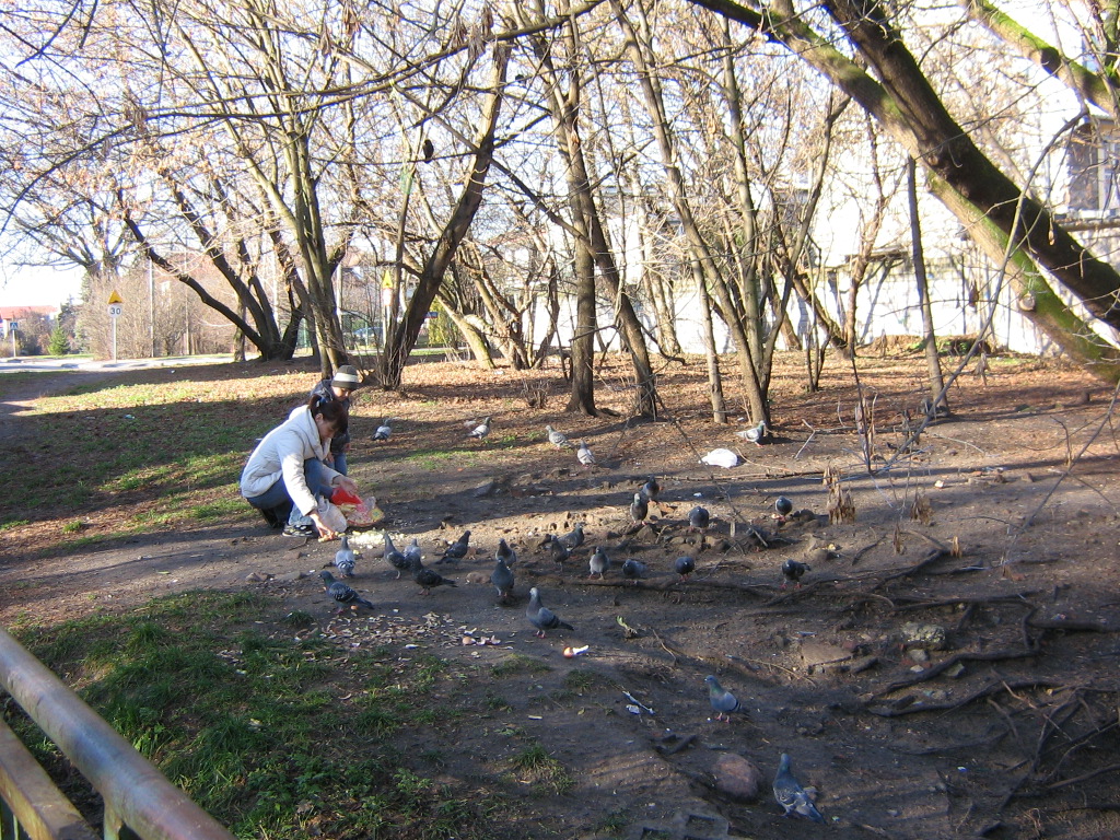 [Rozmiar: 503564 bajt�w]