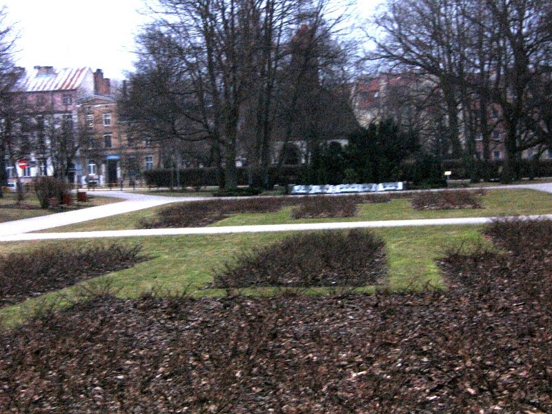 IMG_2774.jpg - Słupsk - Park