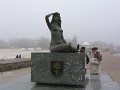 IMG_2784