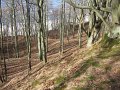 IMG_2828