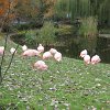 IMG_2465