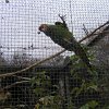 IMG_2467