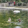 IMG_2475