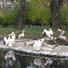 IMG_2478