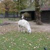 IMG_2483