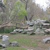 IMG_2496