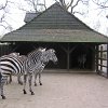 IMG_2515