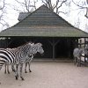 IMG_2516