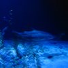 IMG_2529