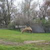IMG_2532