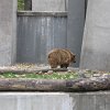 IMG_2550