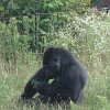 IMG_5085