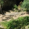 IMG_5094