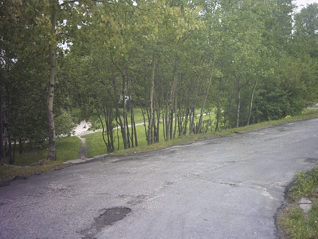 Original image