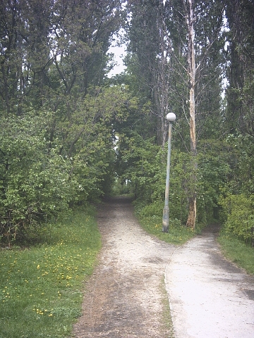Original image