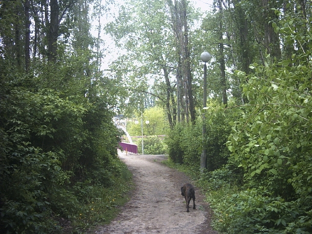 Original image