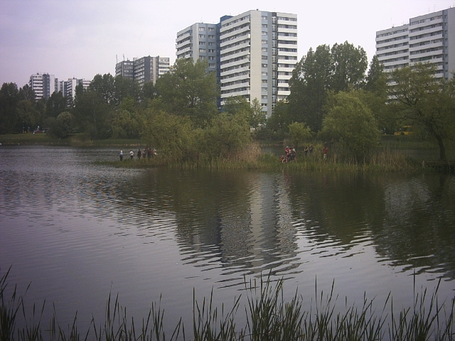 Original image