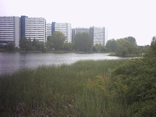 Original image