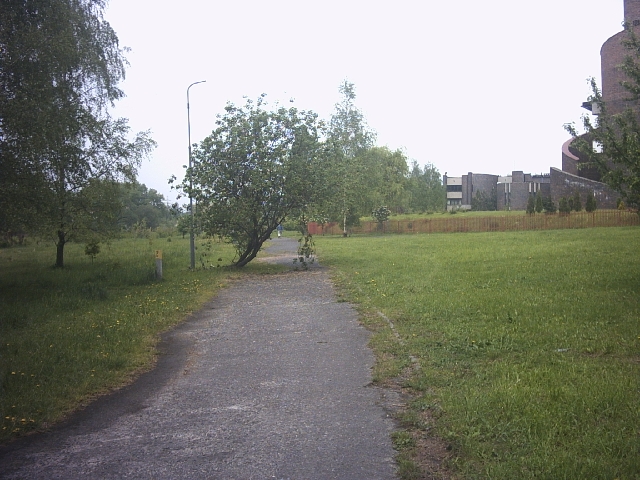 Original image