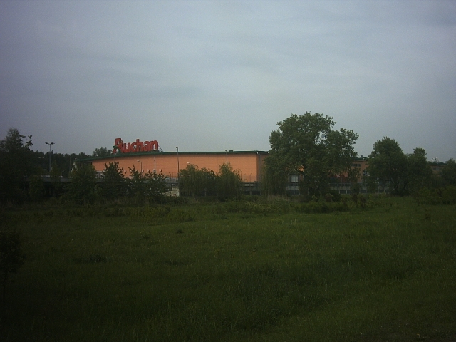 Original image