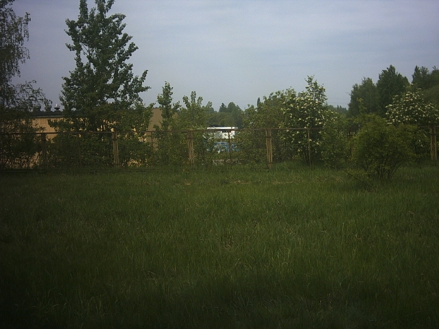 Original image