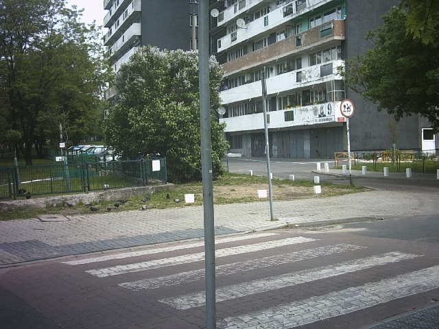 Original image